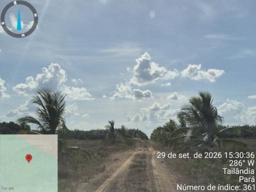 Área Rural à venda em leilão - Colônia Tailândia, Km 25, s/n - Interior - Tailândia / PA em Tailândia/PA - foto 10