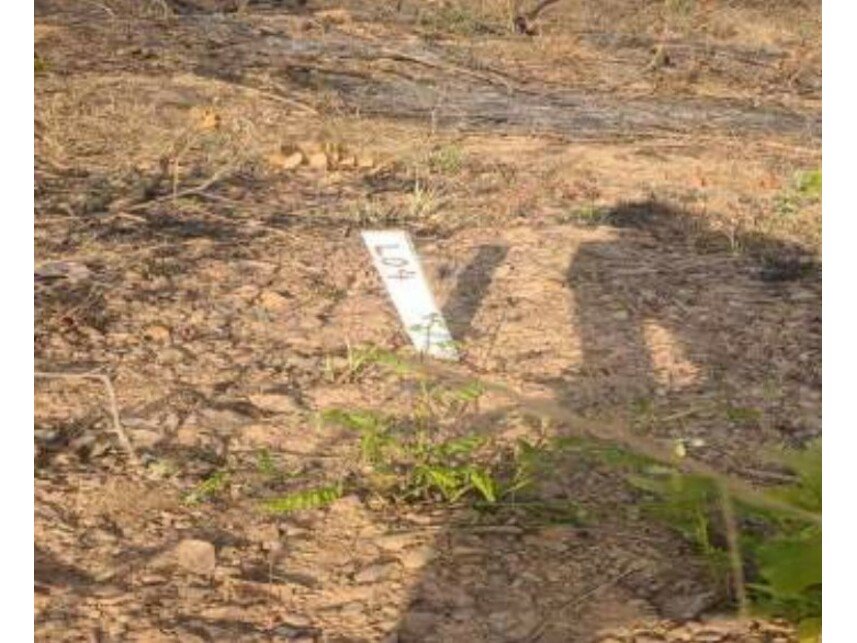 Imagem leilão