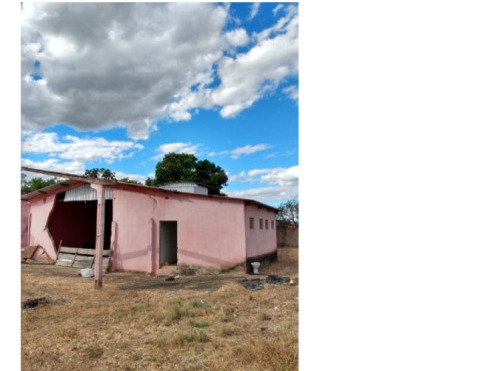 FAZENDA DOIS IRMÃOS MEDINDO 13,96 ALQUEIRES EM COLMÉIA, TOCANTINS em Colméia/TO - foto 10