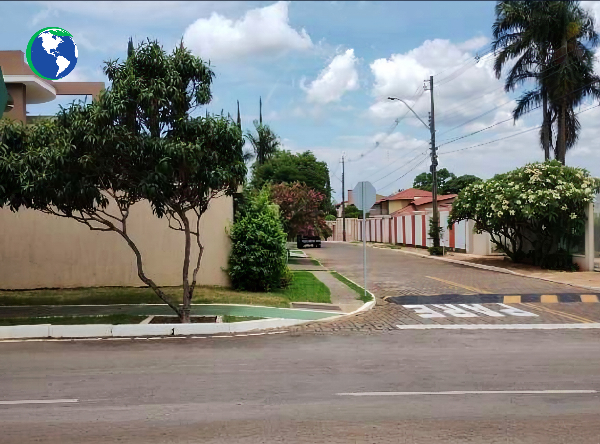 Imagem leilão