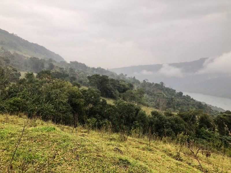 A FRAÇÃO IDEAL DE 50% (128.750,00M²) SOBRE O LOTE RURAL.. em Erval Grande/RS - foto 16