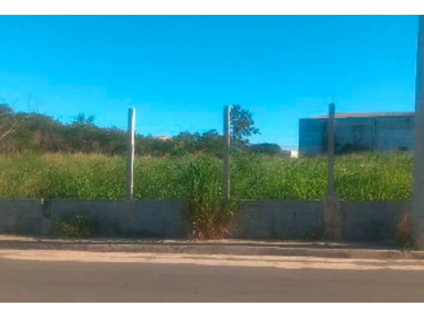 Imagem leilão