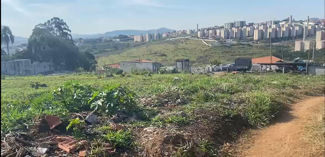 Imagem leilão