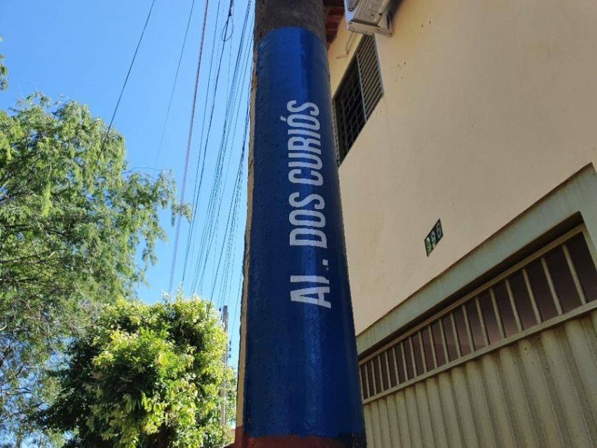 Imagem leilão
