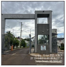 Imagem leilão