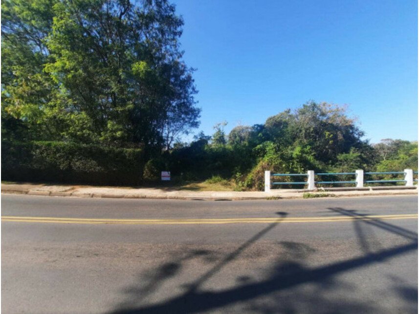 Imagem leilão