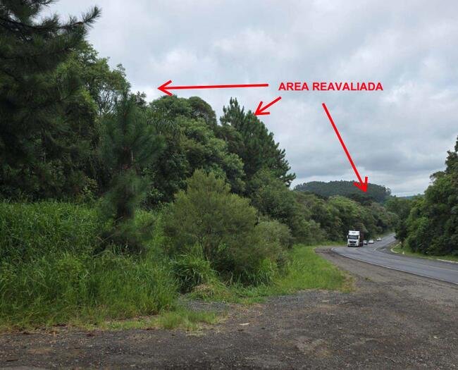 Imagem leilão