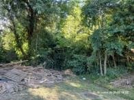 Terreno - 1.010,00m² - R. Rodonel Guatimozin- 225-B. Ipanema em Porto Alegre/RS - foto 4