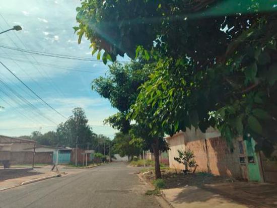 Imagem leilão