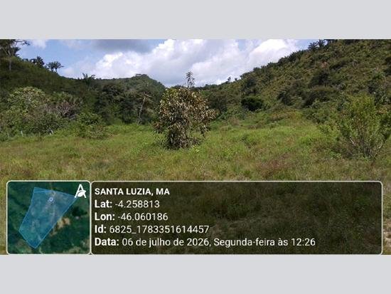 Imagem leilão
