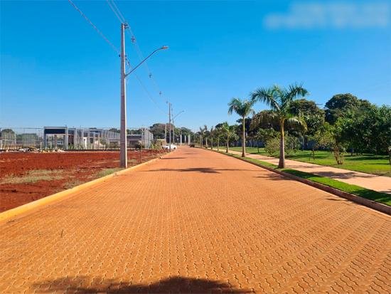 Imagem leilão