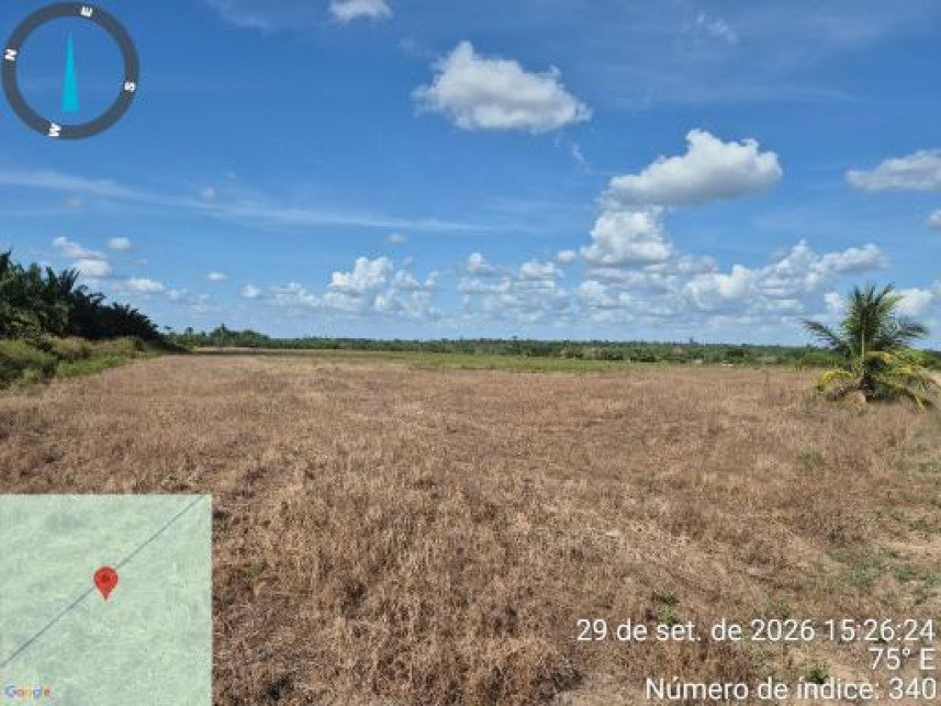 Área Rural à venda em leilão - Colônia Tailândia, Km 25, s/n - Interior - Tailândia / PA em Tailândia/PA - foto 23