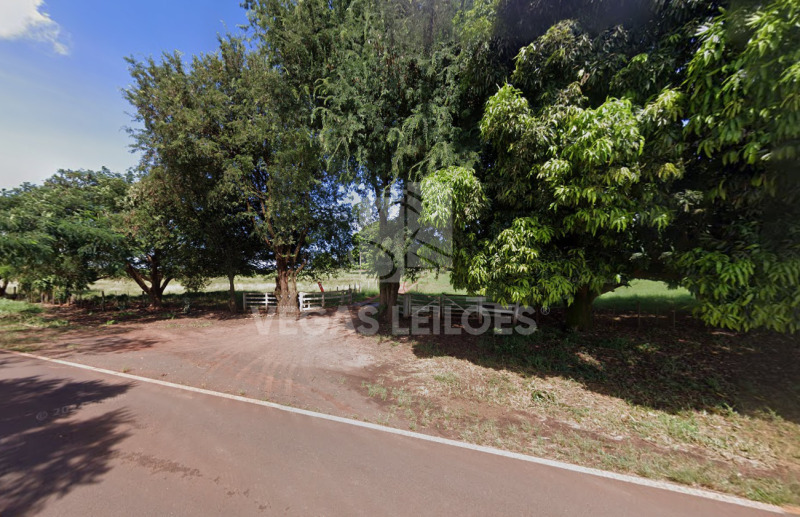 Imagem leilão