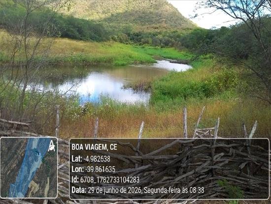 Imagem leilão