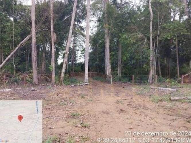 Imagem leilão