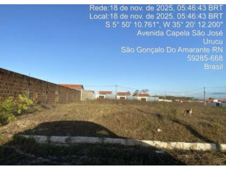 Imagem leilão