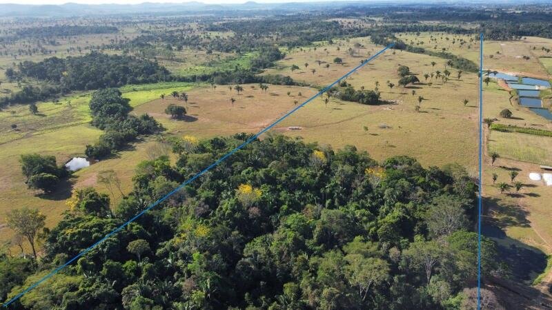 IMÓVEL RURAL COM 53,3362ha EM OURO PRETO DO OESTE/RO em Ouro Preto do Oeste/RO - foto 10