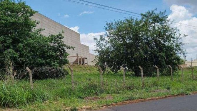 Imagem leilão