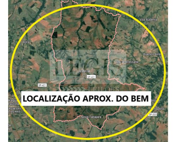 Imagem leilão