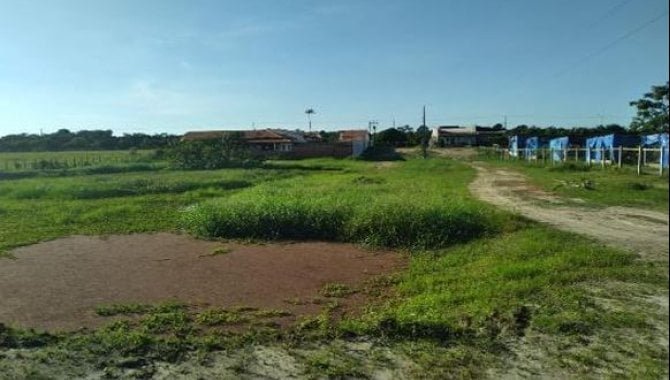 Imagem leilão
