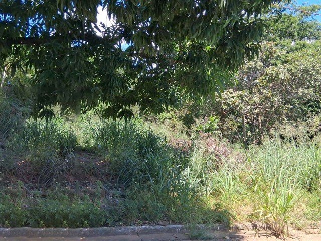Terreno MINAÇU | GOIÁS em Minaçu/GO - foto 7