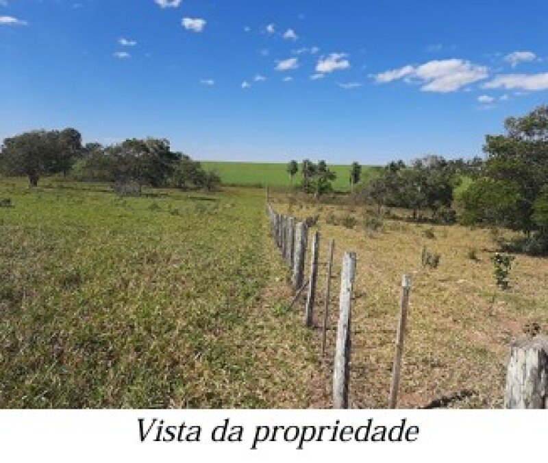 ALIENAÇÃO FIDUCIÁRIA da FAZENDA KALAFATE - Área de 359h.. em Bela Vista/MS - foto 13