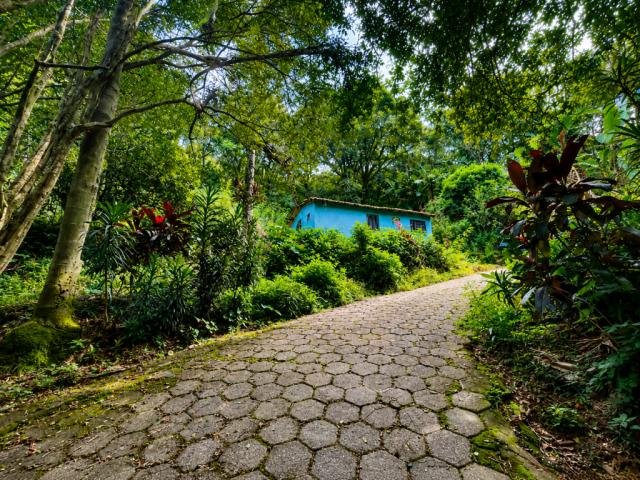 
                        Chácara, 9.010,00 m², Jardim Jaraguá, DESOCUPADO, Zona Noroeste, em São Paulo/SP - foto 4