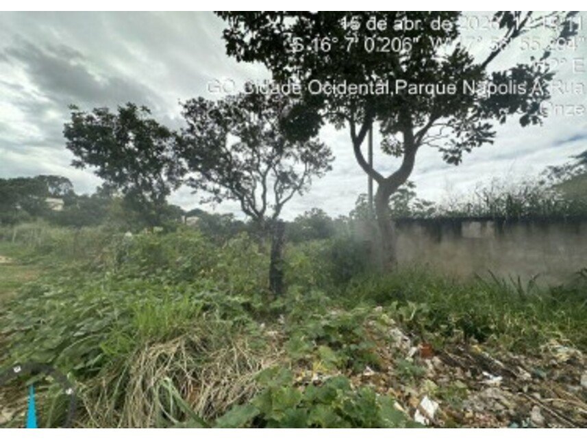 Imagem leilão