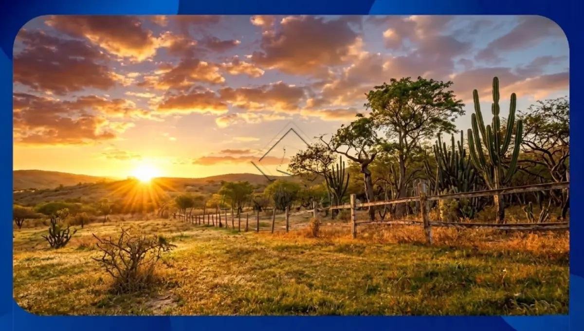 FAZENDA - Fazenda Maracati (também conhecida por Fazenda Fortaleza), Viseu/PA, Área de apr em Viseu/PA