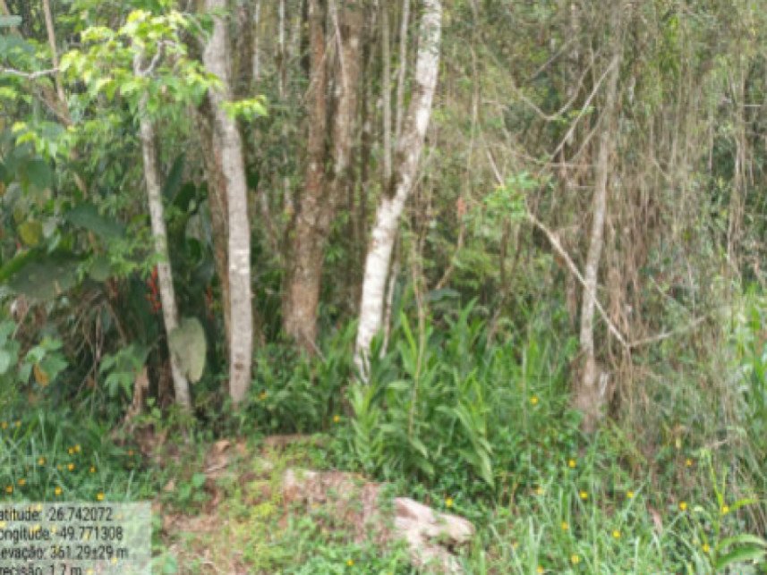 Terreno à venda em leilão - Estrada Municipal, S/N - Estrada municipal - Itaió - Itaió - I em Itaiópolis/SC - foto 3