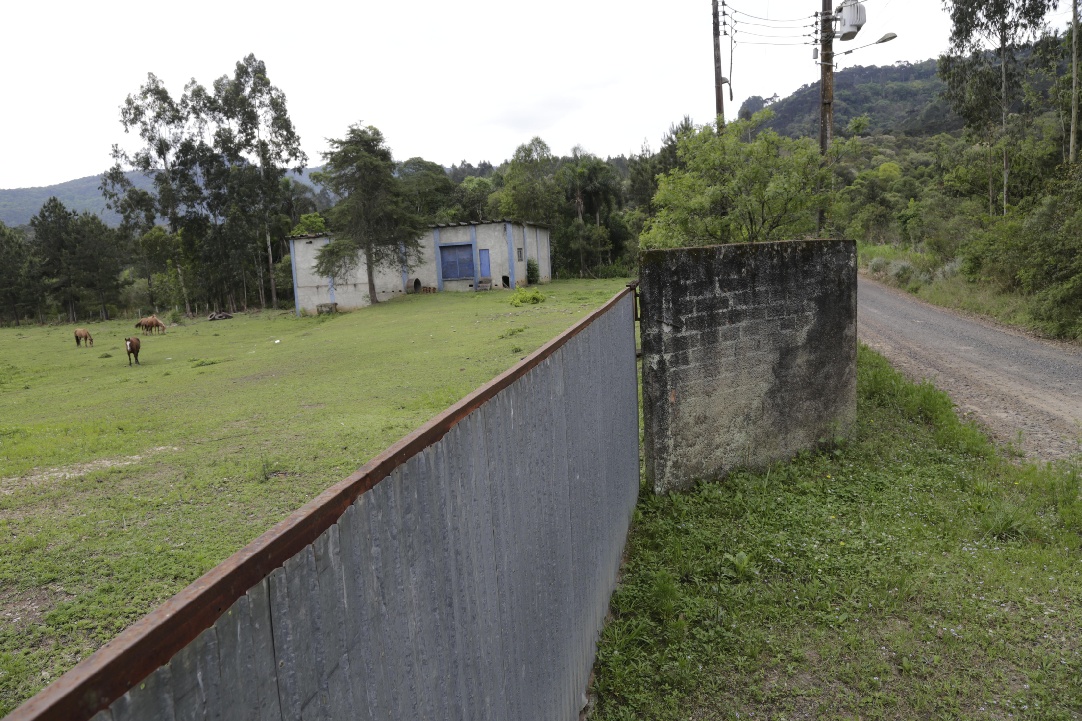 Imagem leilão