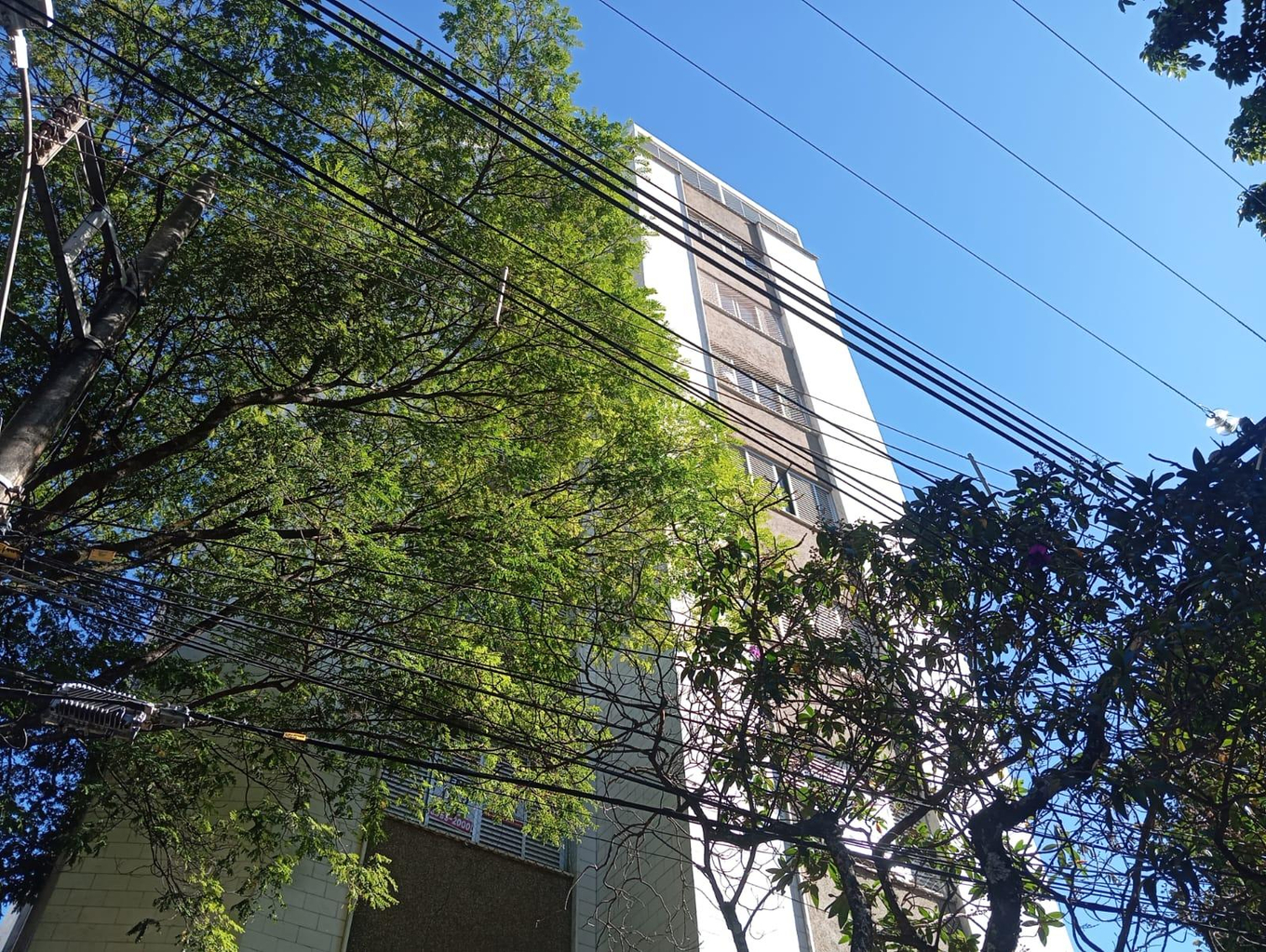 Imagem leilão