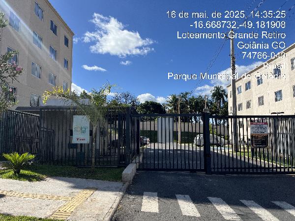 Imagem leilão