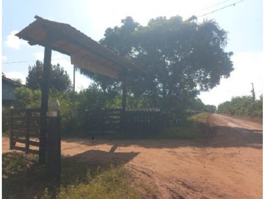 Imagem leilão