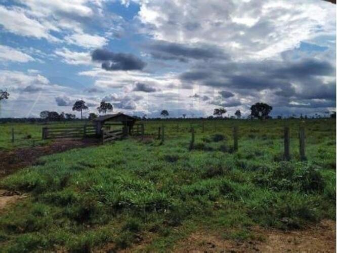 Imagem leilão