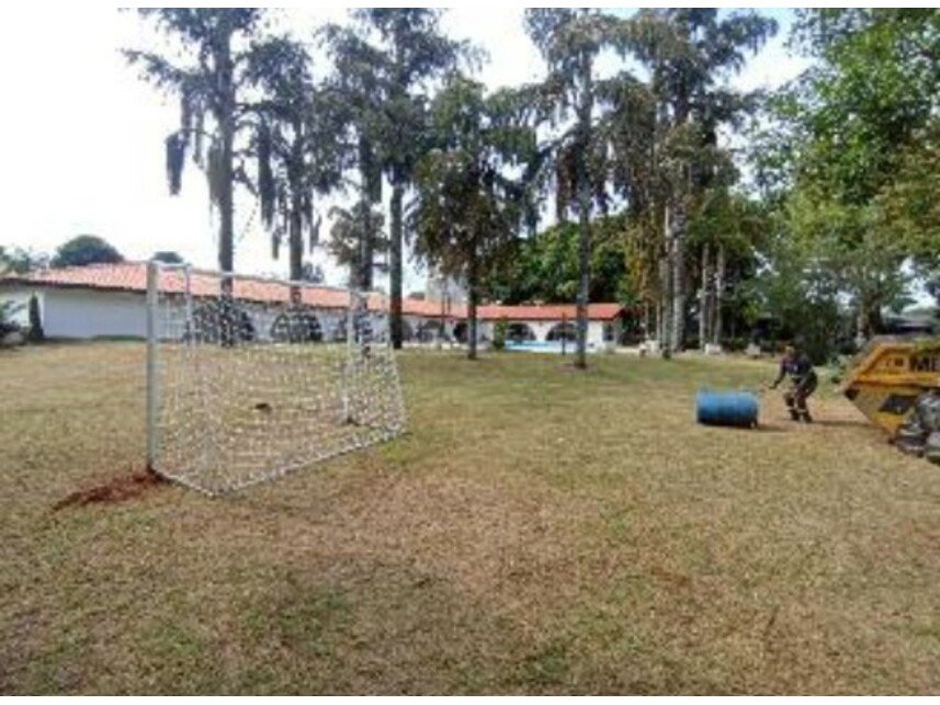 Imagem leilão
