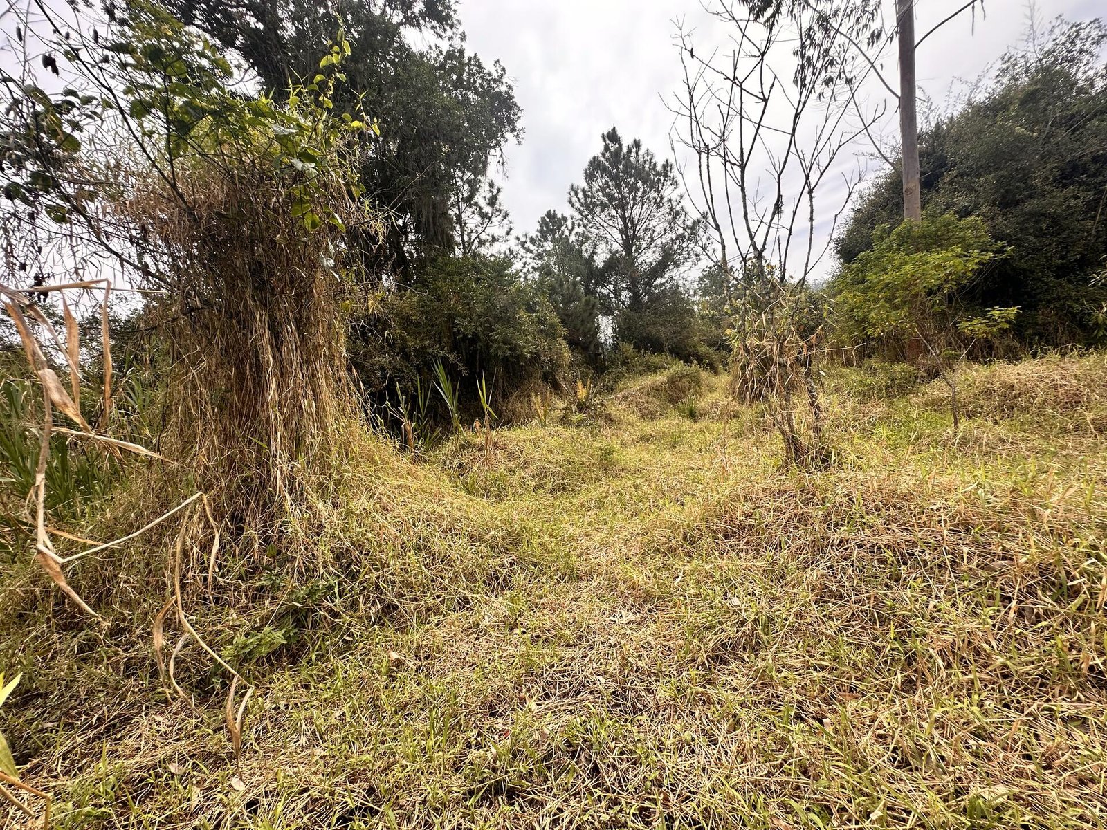 LOTE COMPOSTO 02 IMOVEIS URBANOS em Doutor Pedrinho/SC - foto 4