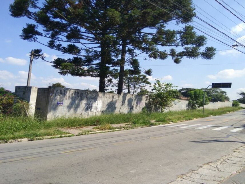 Imagem leilão