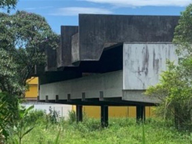 Imagem leilão