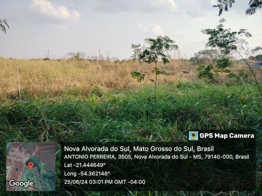 Imagem leilão