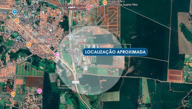 Imagem leilão