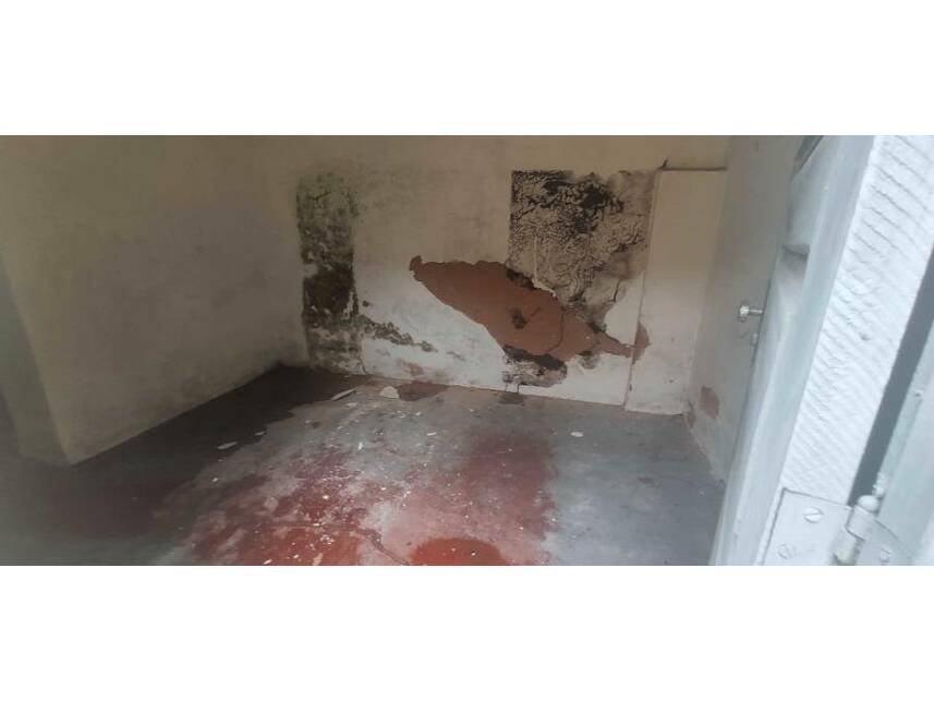 Imagem leilão