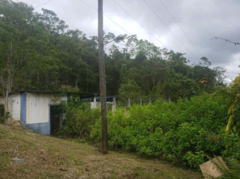 Imagem leilão