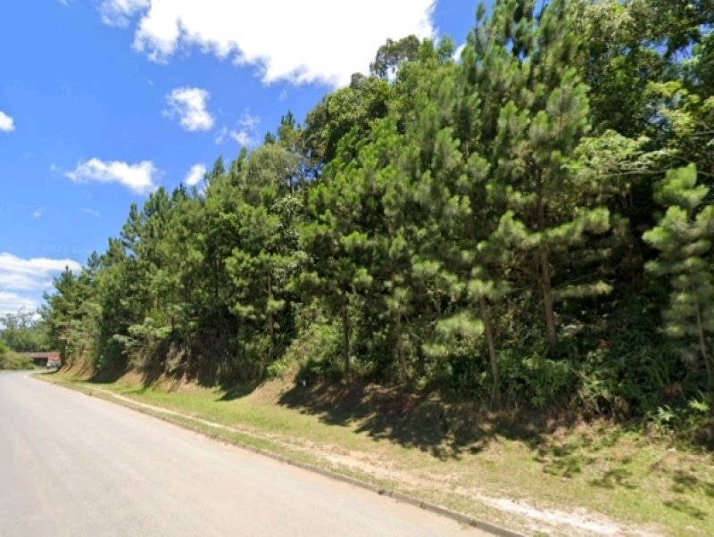 PARTE IDEAL DE 16.581,00m² DA ÁREA REMANESCENTE DE 301... em Taió/SC - foto 1