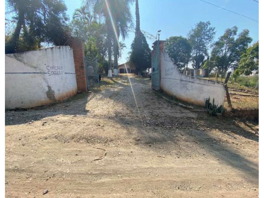 Imagem leilão