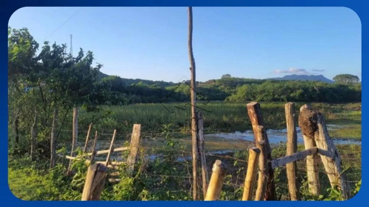 GLEBA DE TERRAS - Rodovia CE-065, Distrito de Umarizeiras, Maranguape/CE, Área de 30,00 he em Maranguape/CE