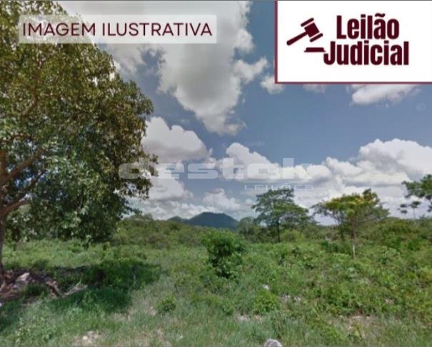 Imagem leilão