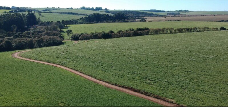 A FRAÇÃO IDEAL DE 38.535,98m² SOBRE UMA PARTE DE TERRAS.. em Pontão/RS - foto 2