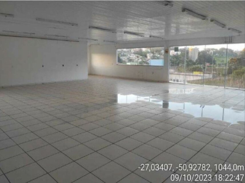 Imagem leilão