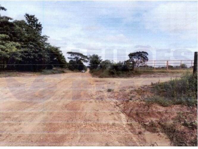 Imagem leilão